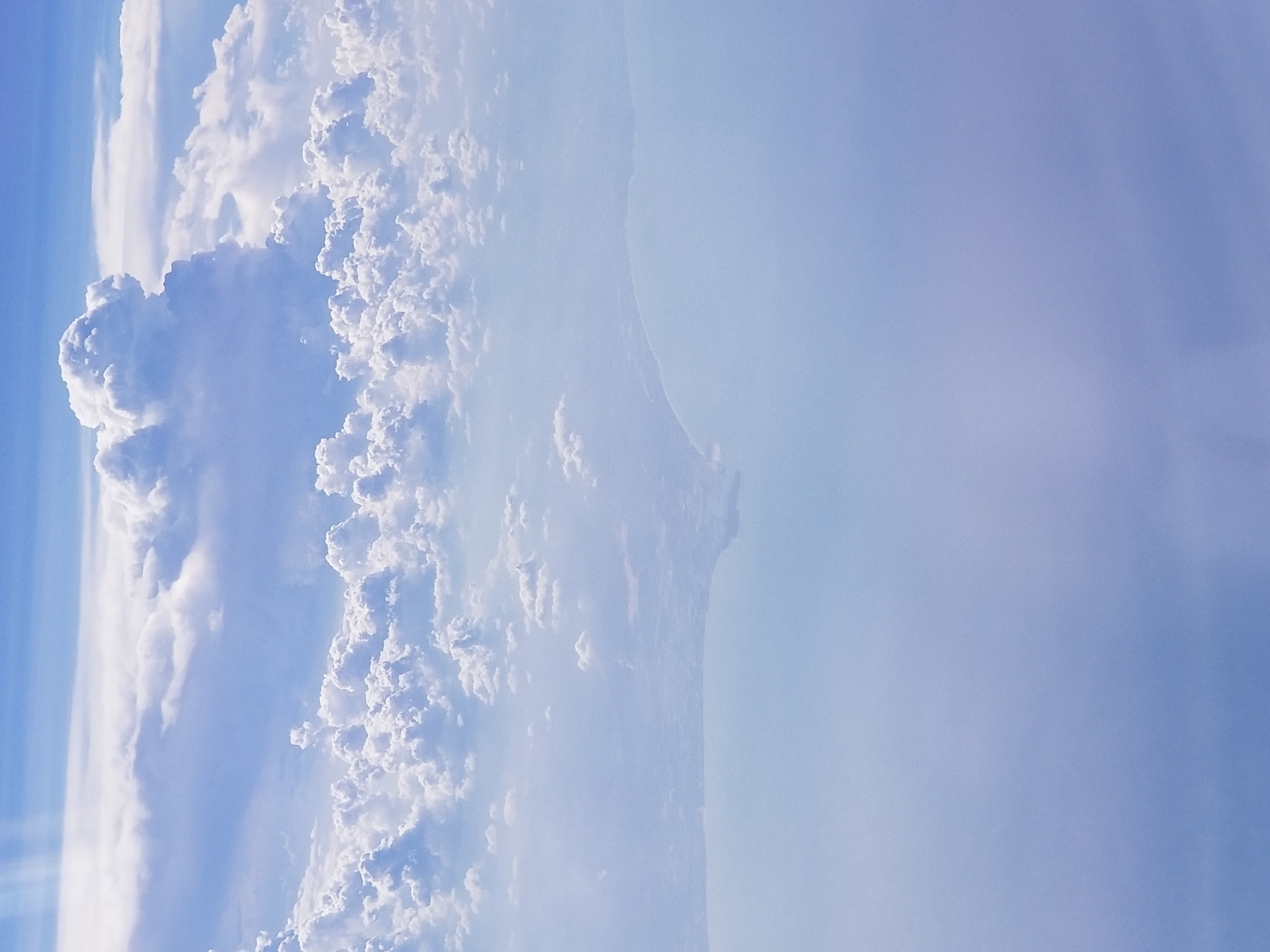 20190711_075540.jpg